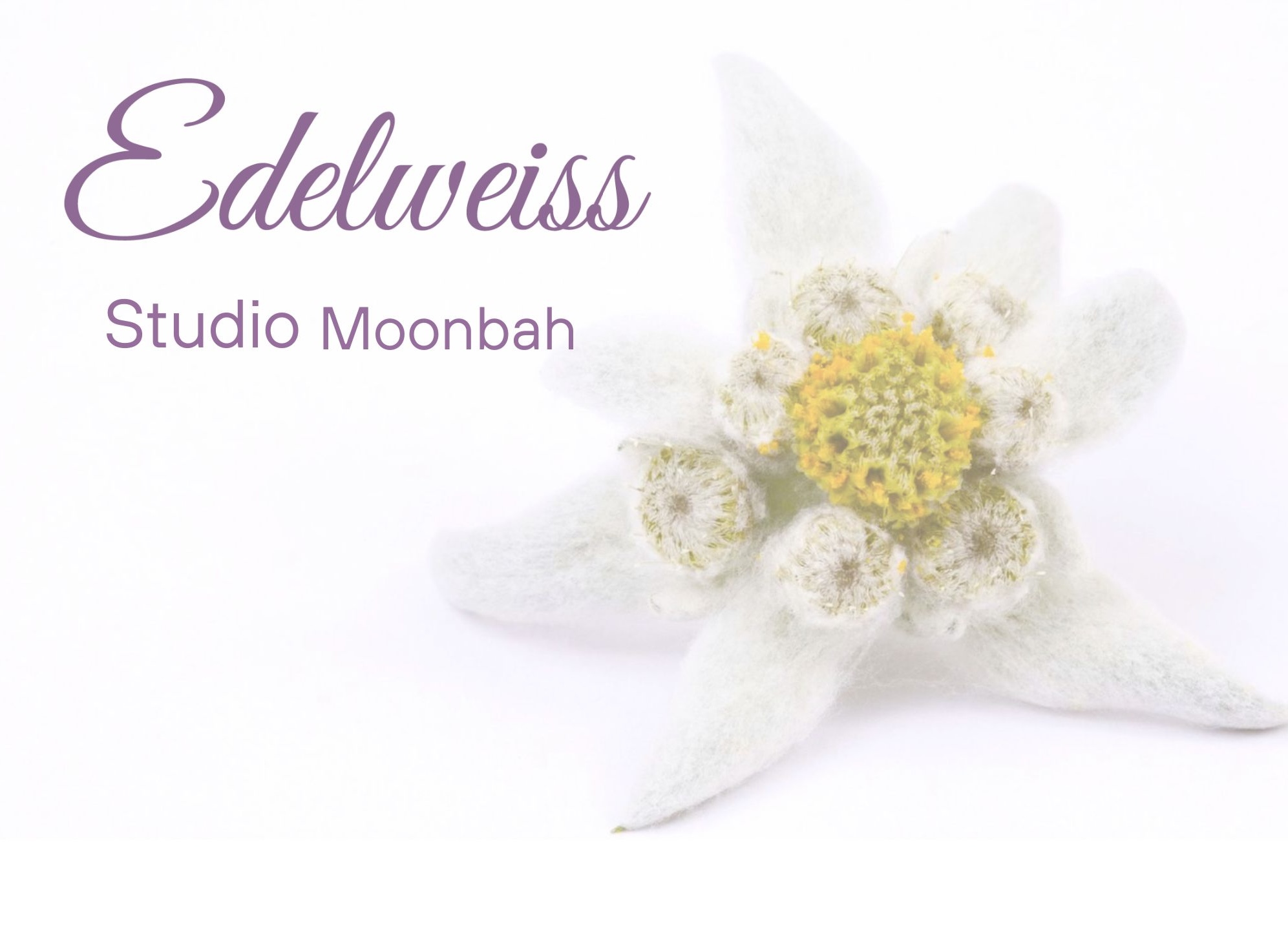 edelweiss studio moonbah day spa